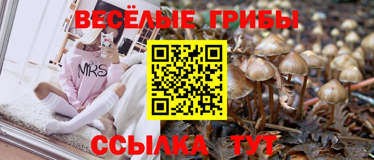 цены наркотик  Галлюциногенные грибы мицелий  Ревда  Вход с VPN  Галлюциногенные грибы Psilocybe 